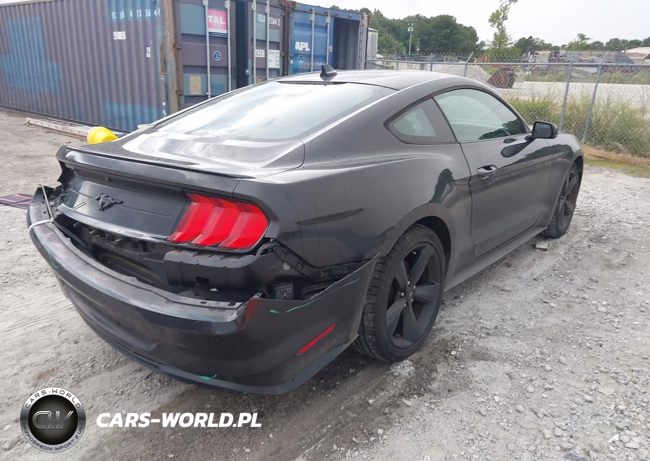 2022 Ford Mustang Ecoboost Fastback VIN:1FA6P8TH9N5113564 - 4