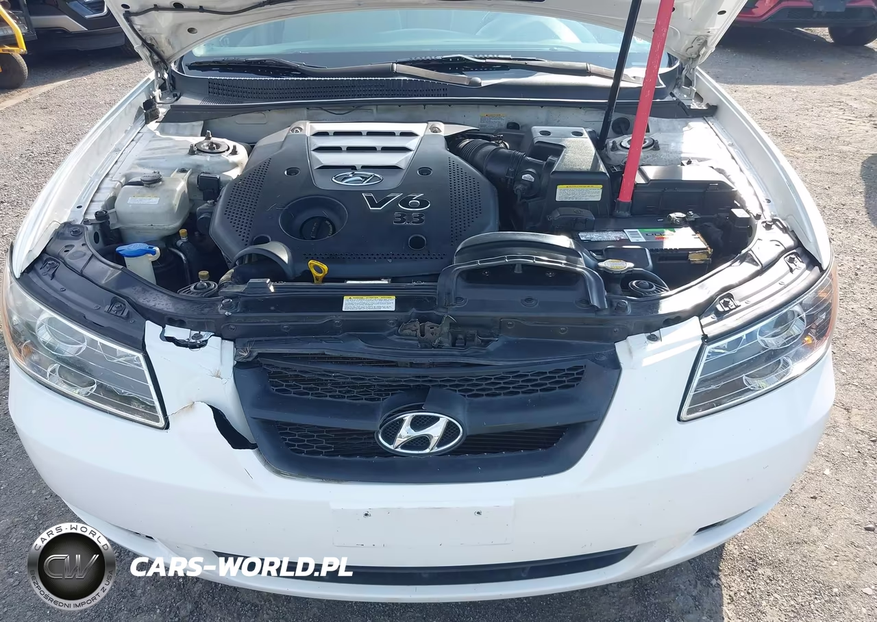 2007 Hyundai Sonata Limited-Limited W-Xm-Se-Se W-Xm VIN:5NPEU46F37H218265 - 6