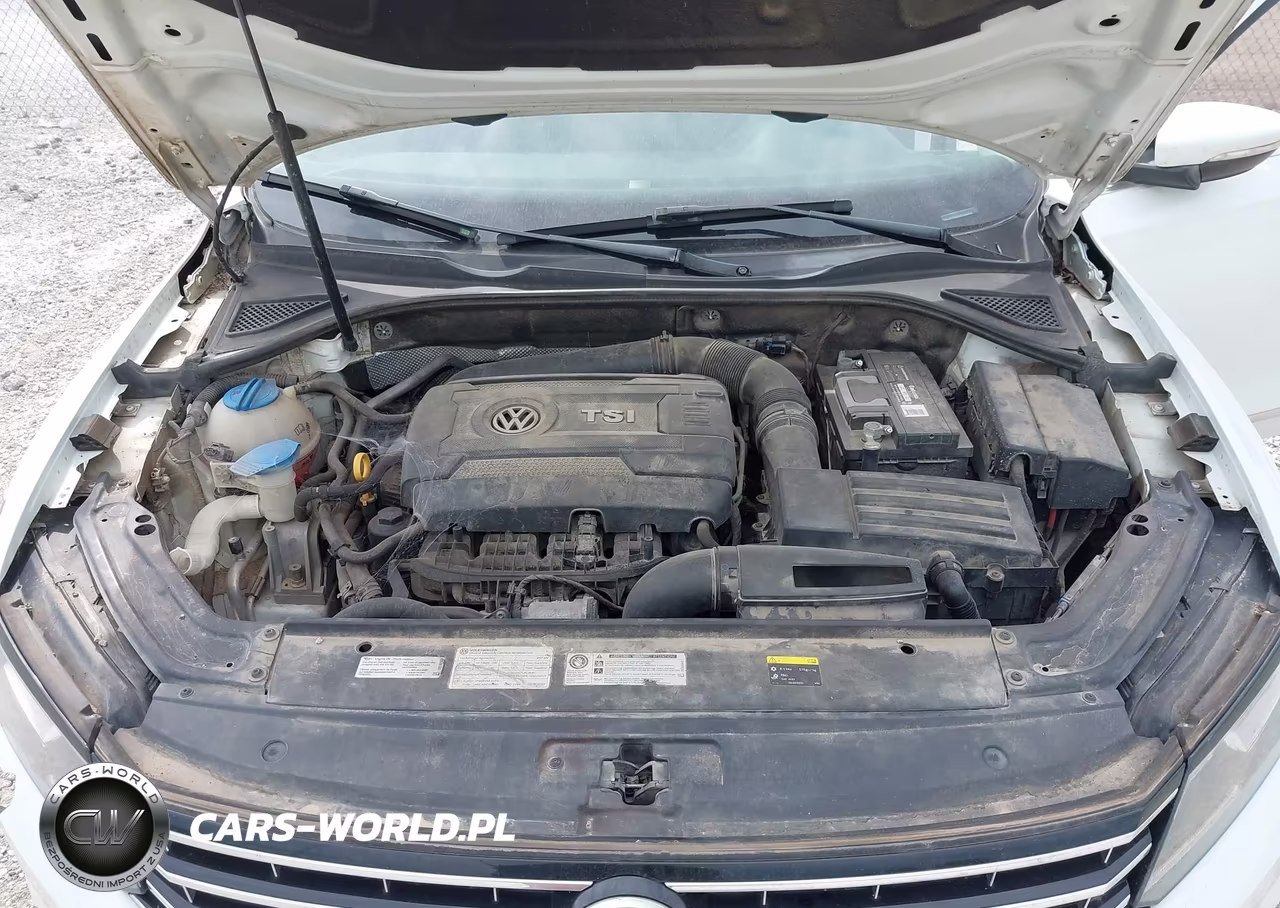 2017 Volkswagen Passat 1.8T S VIN:1VWAT7A33HC004435 - 10