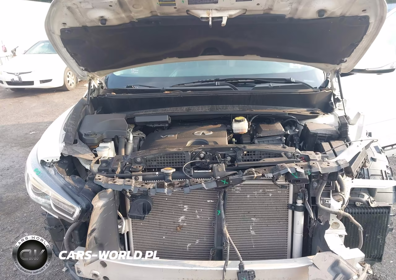 2017 Infiniti Qx60 VIN:5N1DL0MM1HC505394 - 10