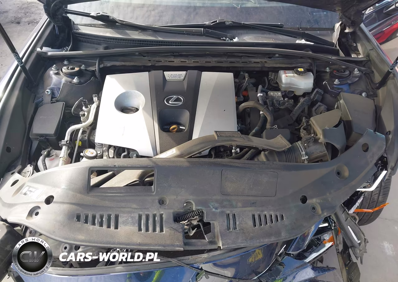 2021 Lexus Es 300H Ultra Luxury VIN:58AFA1C1XMU009146 - 10
