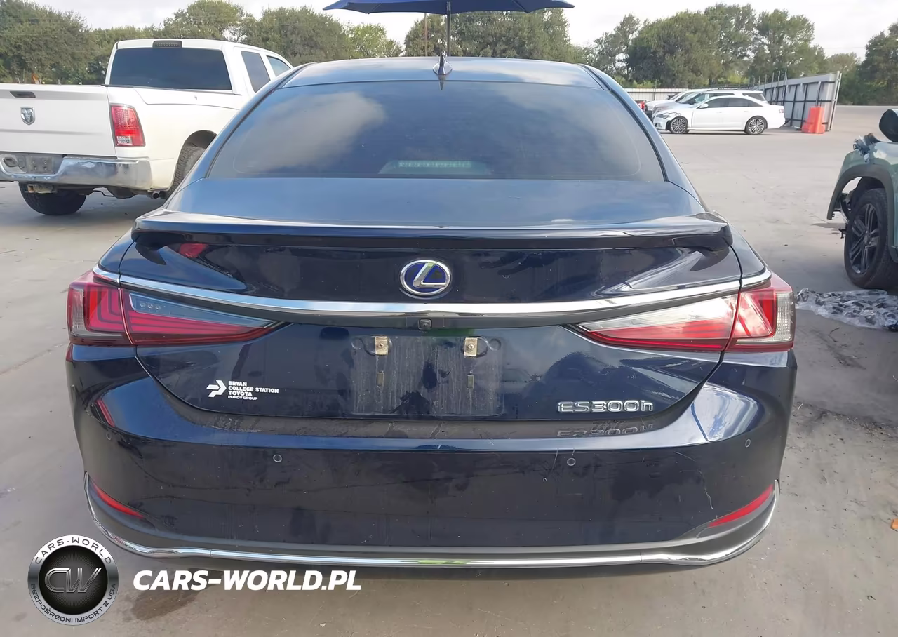 2021 Lexus Es 300H Ultra Luxury VIN:58AFA1C1XMU009146 - 17