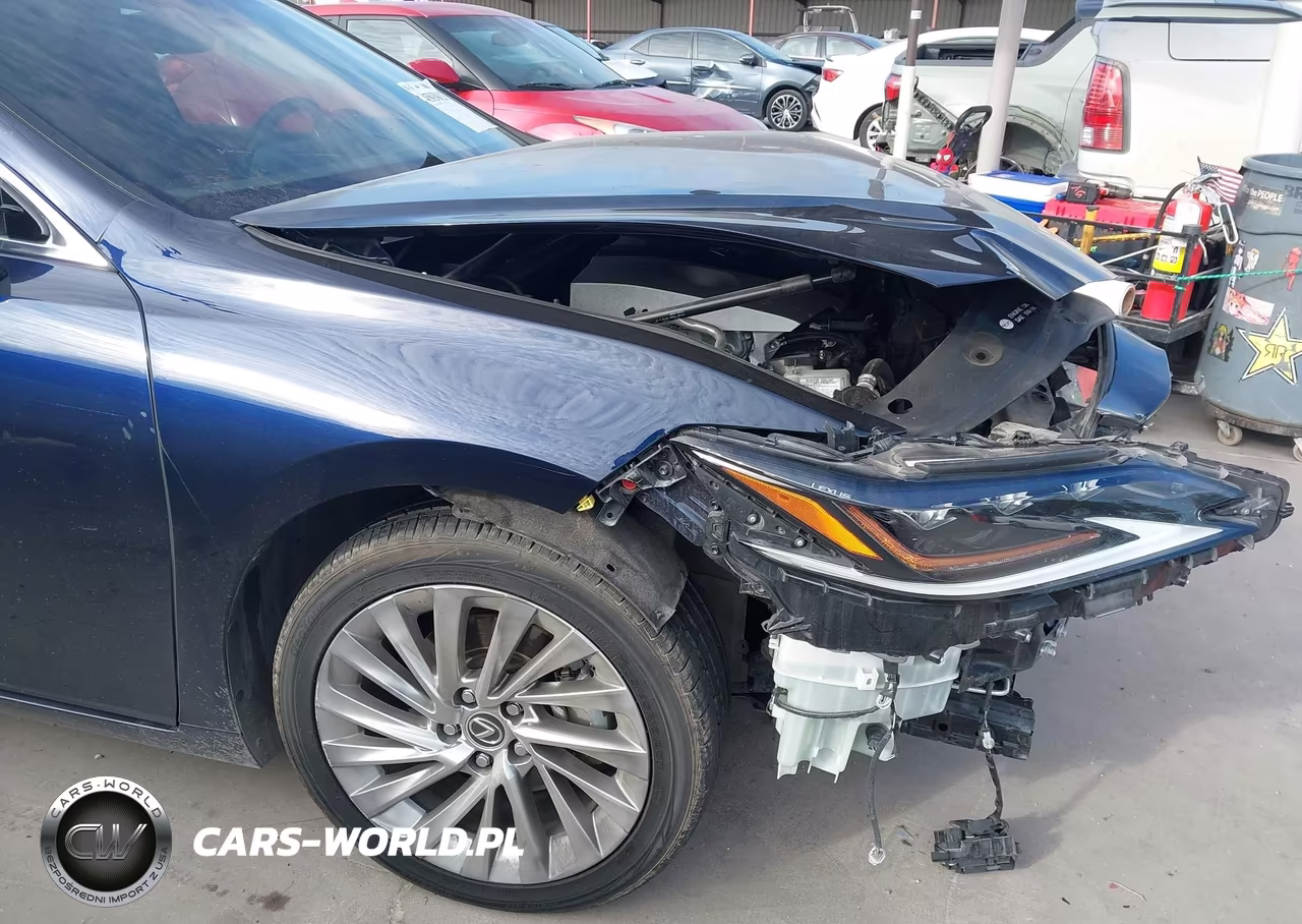 2021 Lexus Es 300H Ultra Luxury VIN:58AFA1C1XMU009146 - 19