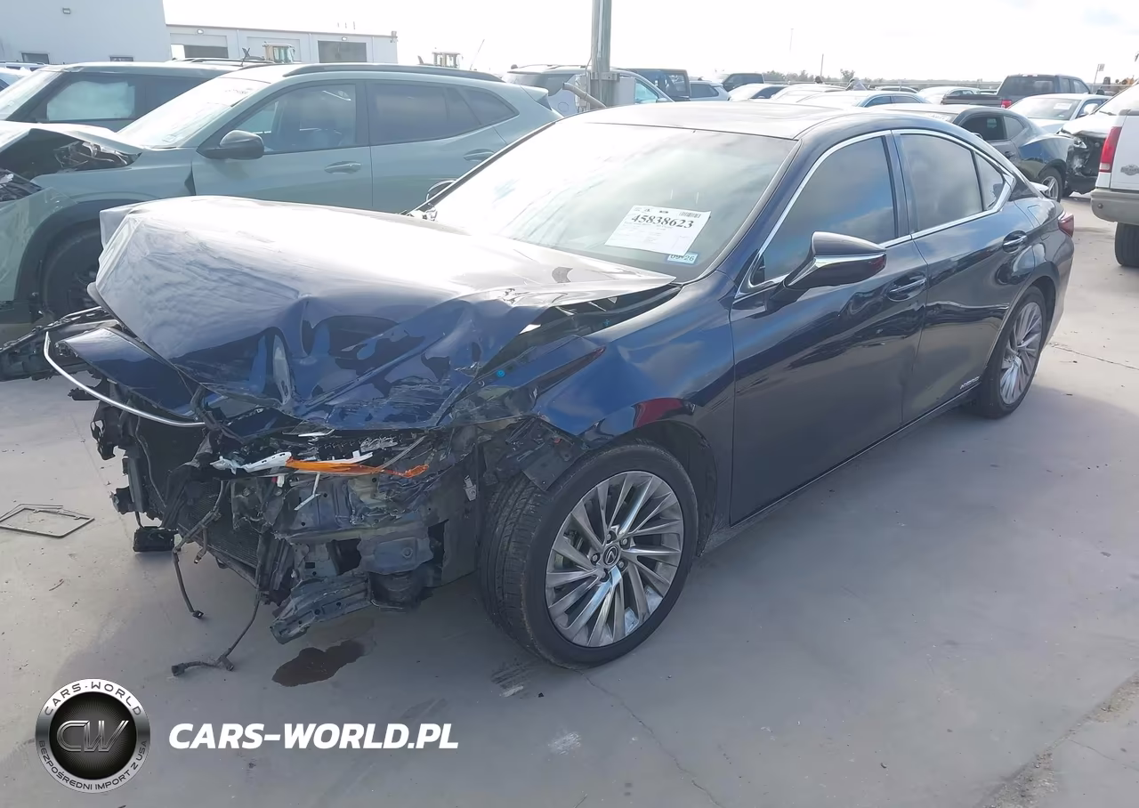 2021 Lexus Es 300H Ultra Luxury VIN:58AFA1C1XMU009146 - 2