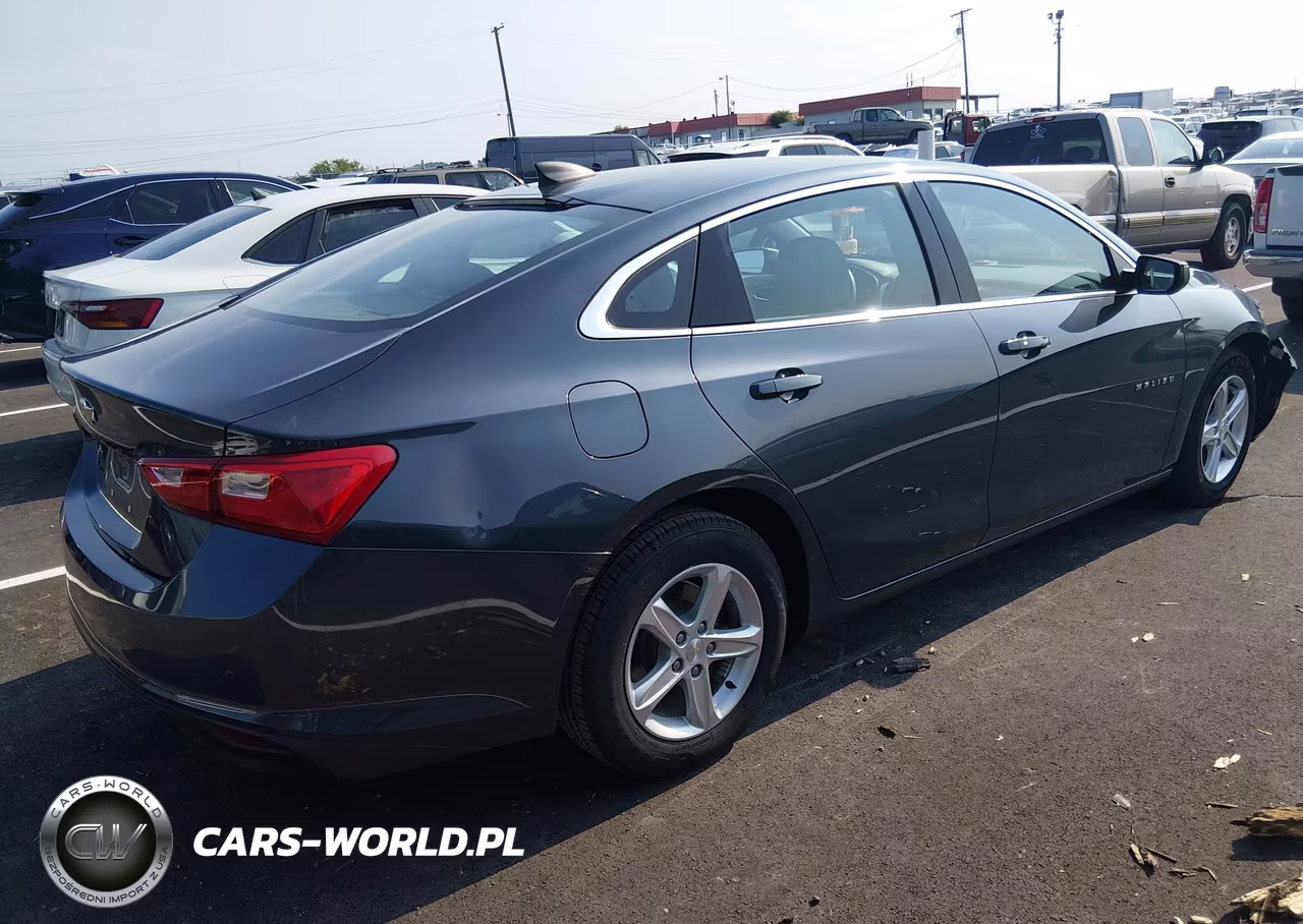 2020 Chevrolet Malibu Fwd 1Fl VIN:1G1ZC5ST1LF115655 - 4