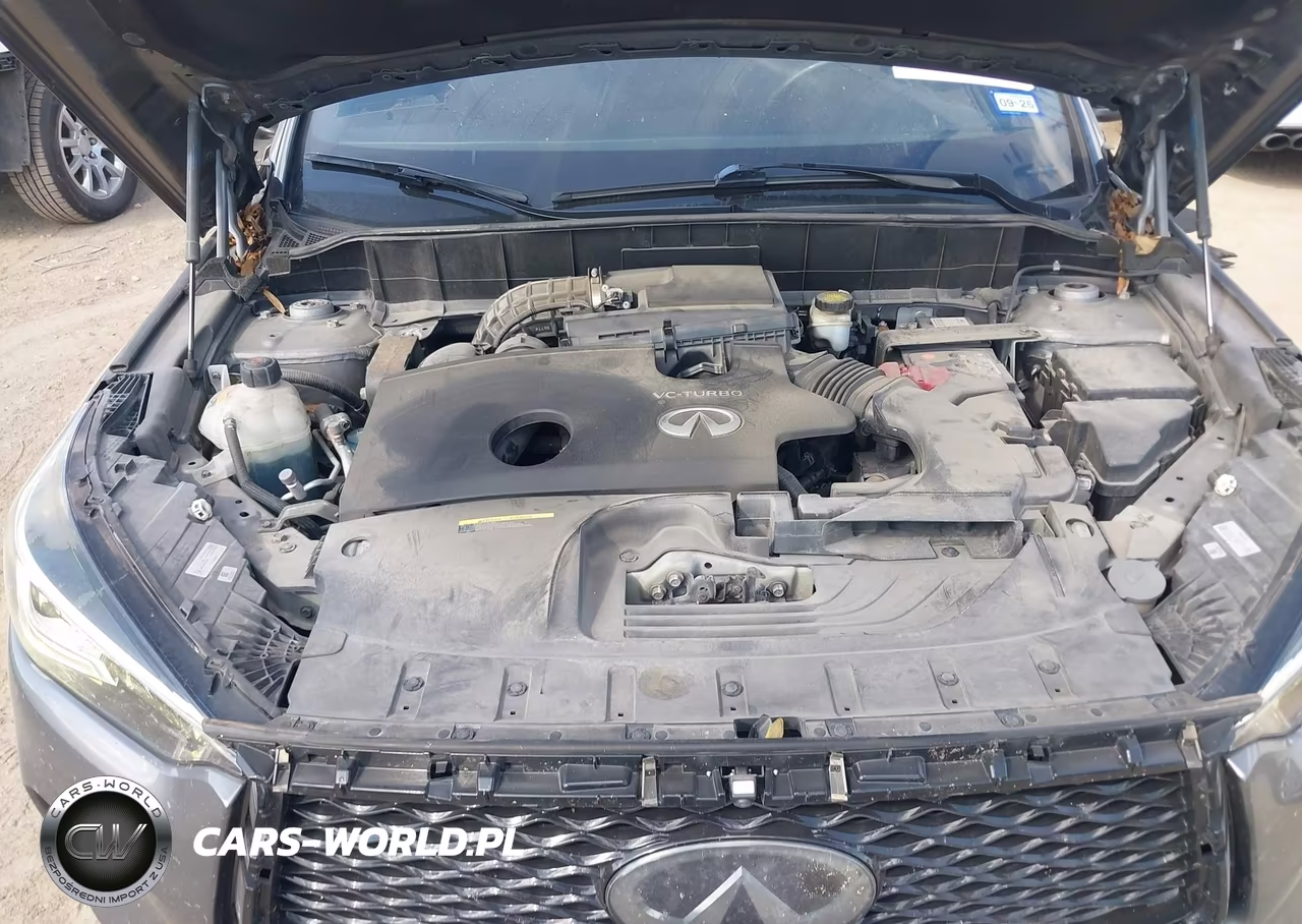 2020 Infiniti Qx50 Essential VIN:3PCAJ5M19LF106289 - 10