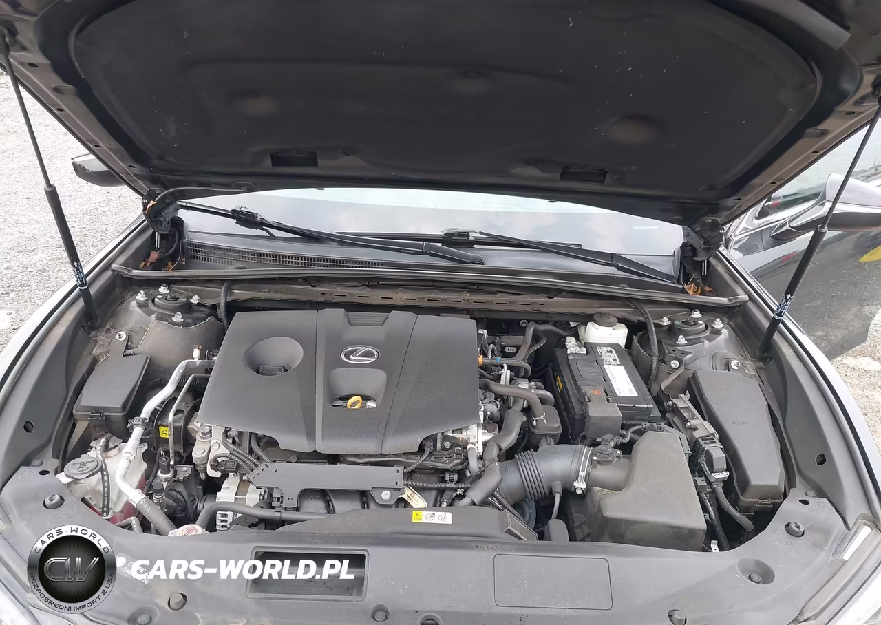 2021 Lexus Es 250 F Sport VIN:58AG11D13MU005264 - 10