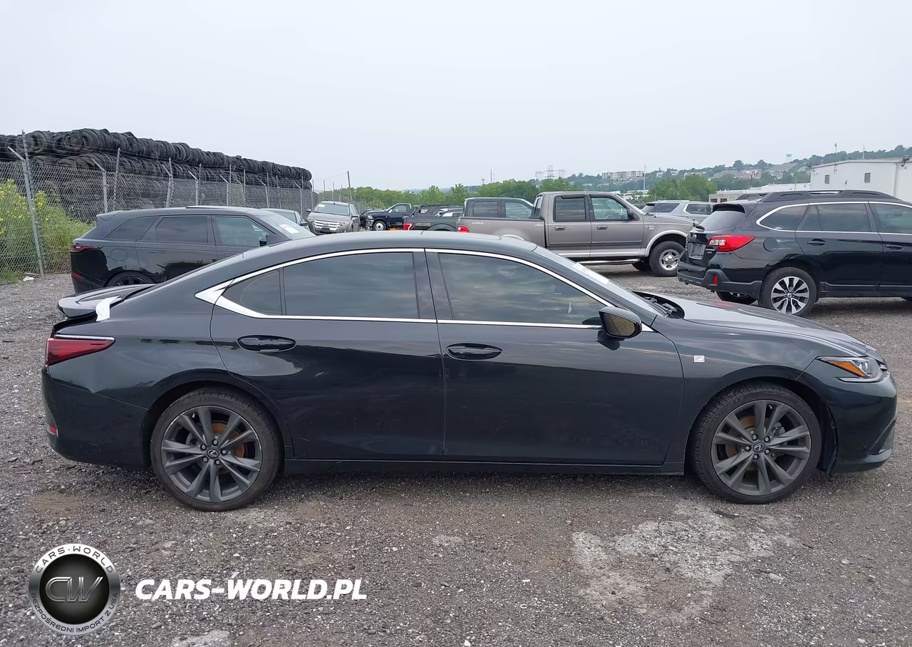 2021 Lexus Es 250 F Sport VIN:58AG11D13MU005264 - 13