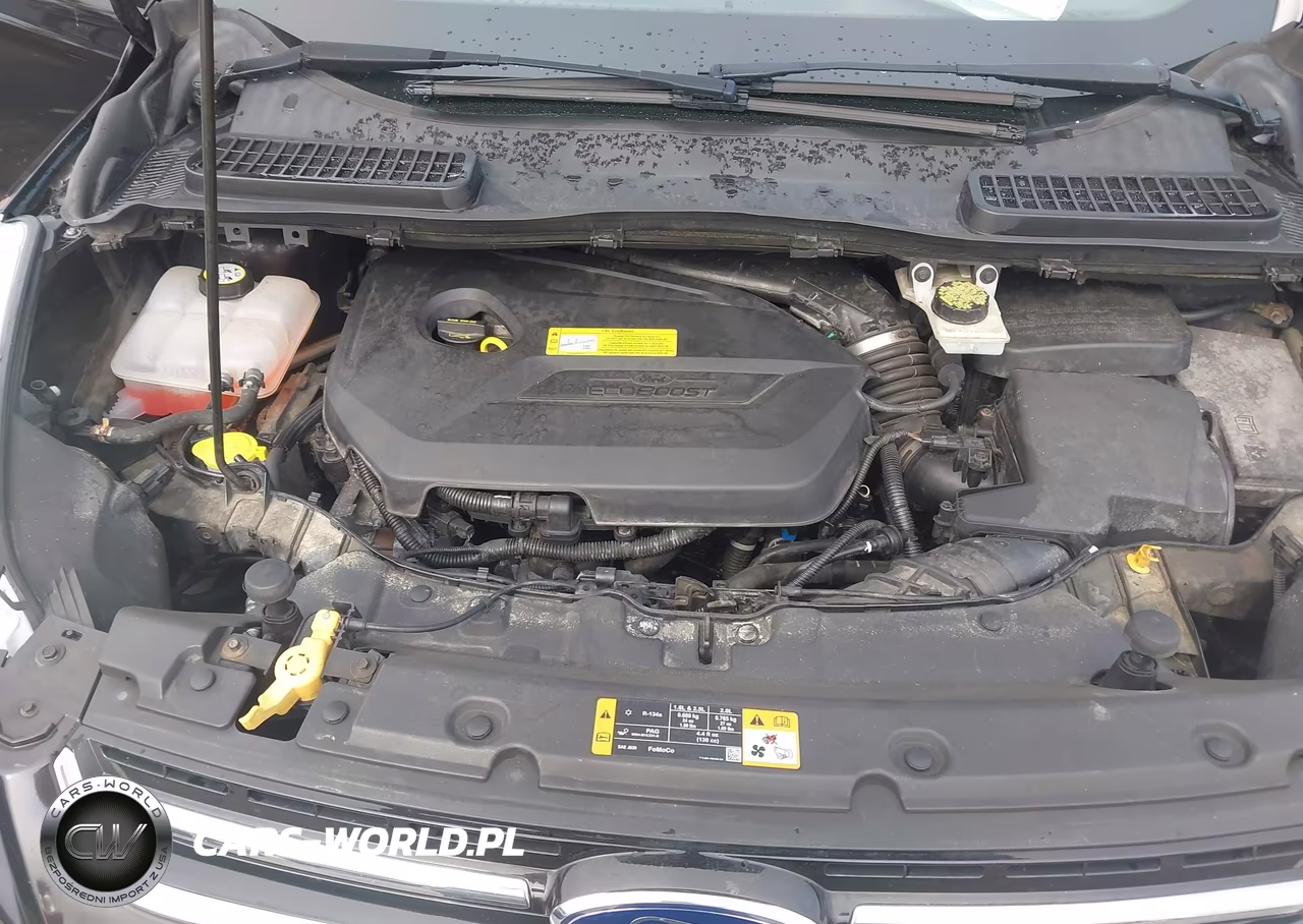 2013 Ford Escape Sel VIN:1FMCU0HX9DUA58413 - 10
