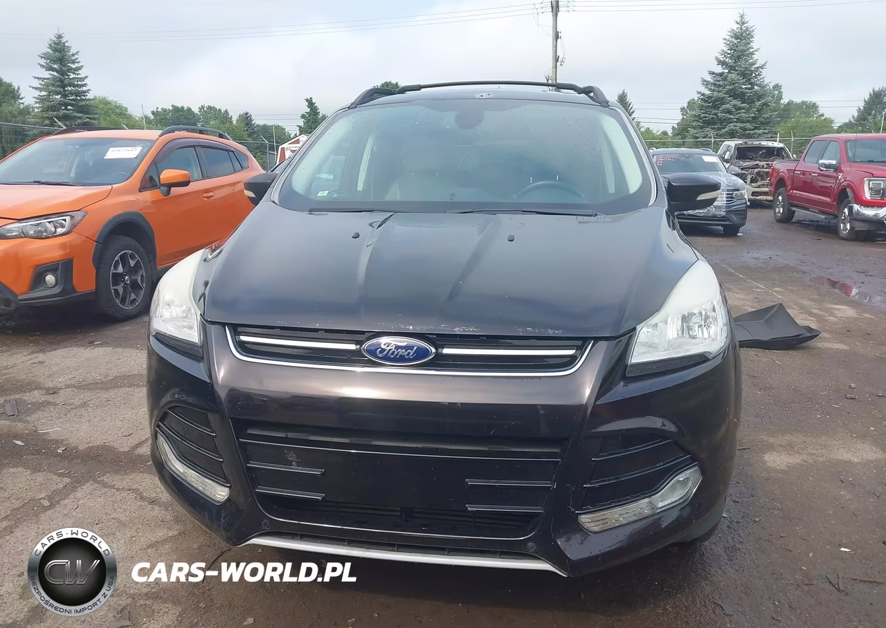 2013 Ford Escape Sel VIN:1FMCU0HX9DUA58413 - 12