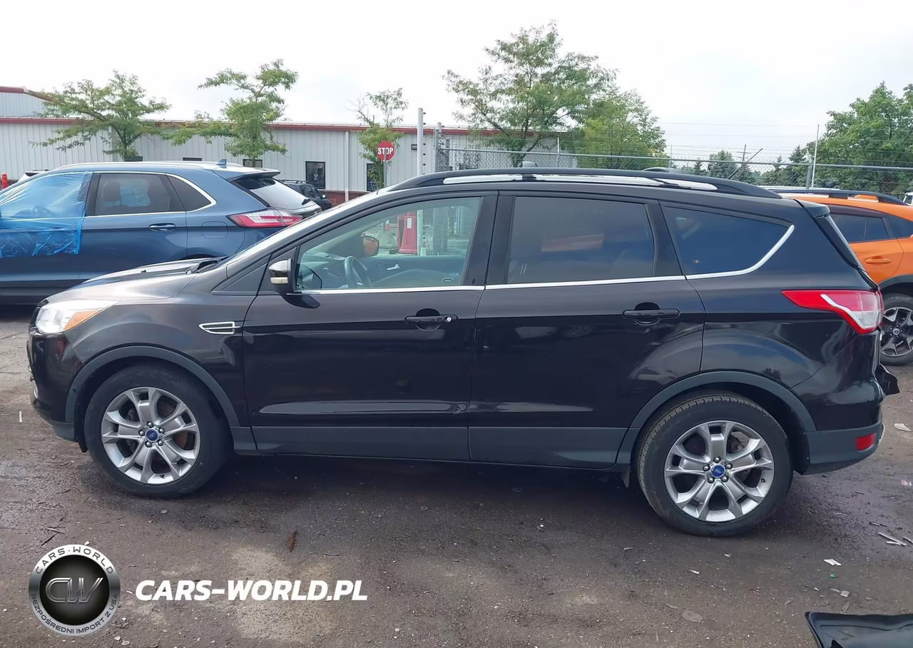 2013 Ford Escape Sel VIN:1FMCU0HX9DUA58413 - 14