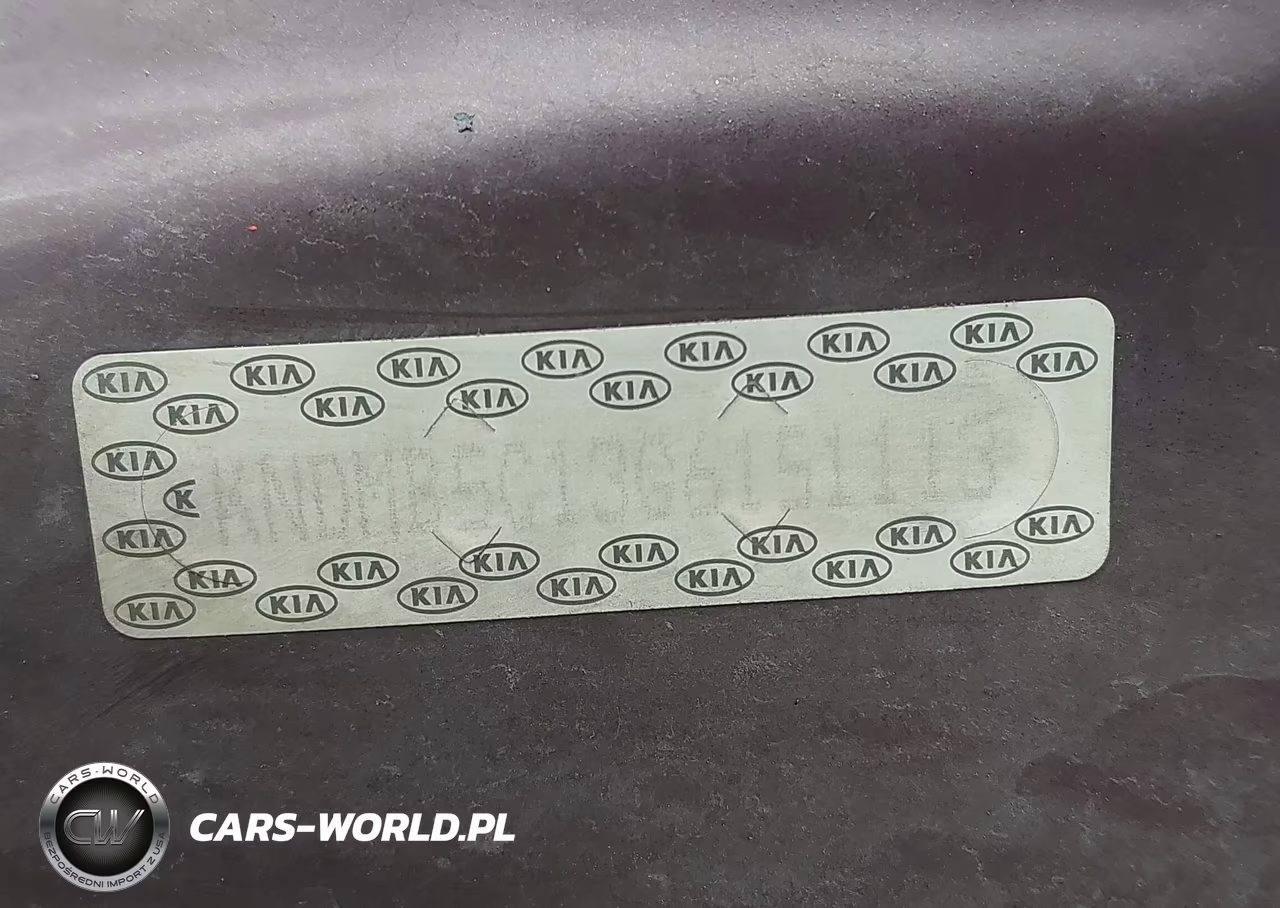 2016 Kia Sedona Lx VIN:KNDMB5C13G6151113 - 9