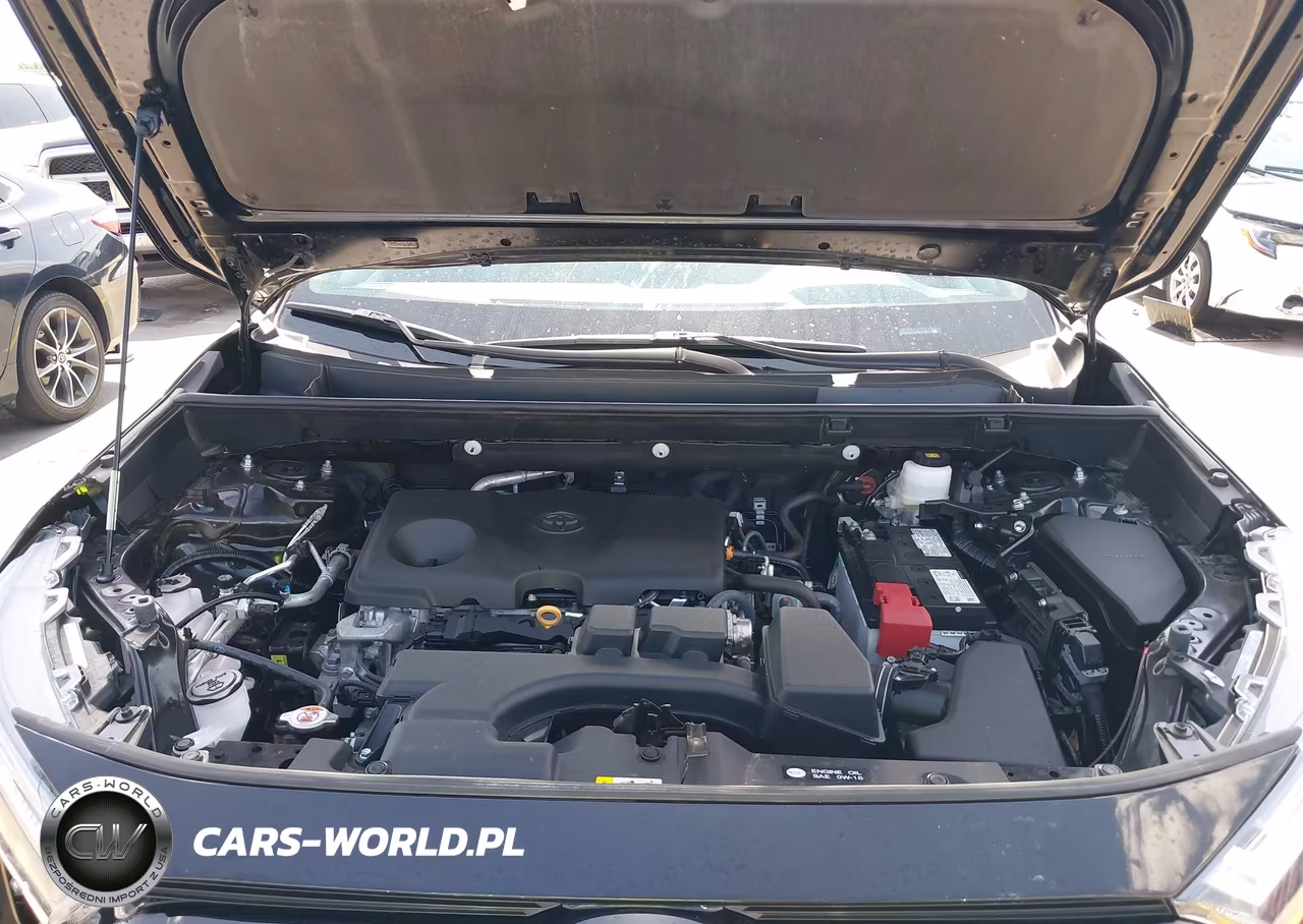 2025 Toyota Rav4 Xle VIN:2T3W1RFV5SW373452 - 10