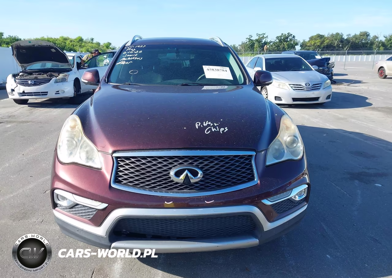 2016 Infiniti Qx50 VIN:JN1BJ0RP8GM231322 - 13