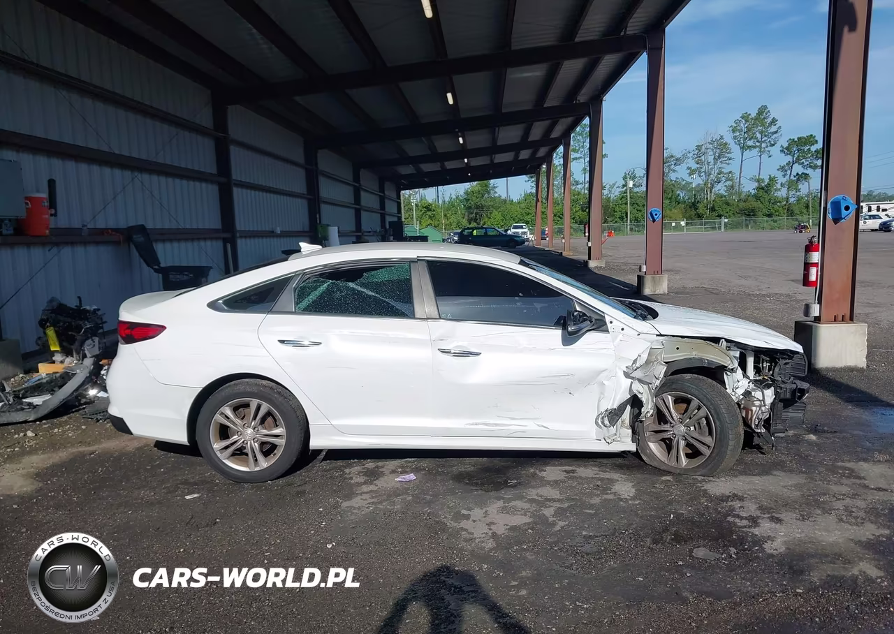 2019 Hyundai Sonata Sel VIN:5NPE34AFXKH731192 - 12