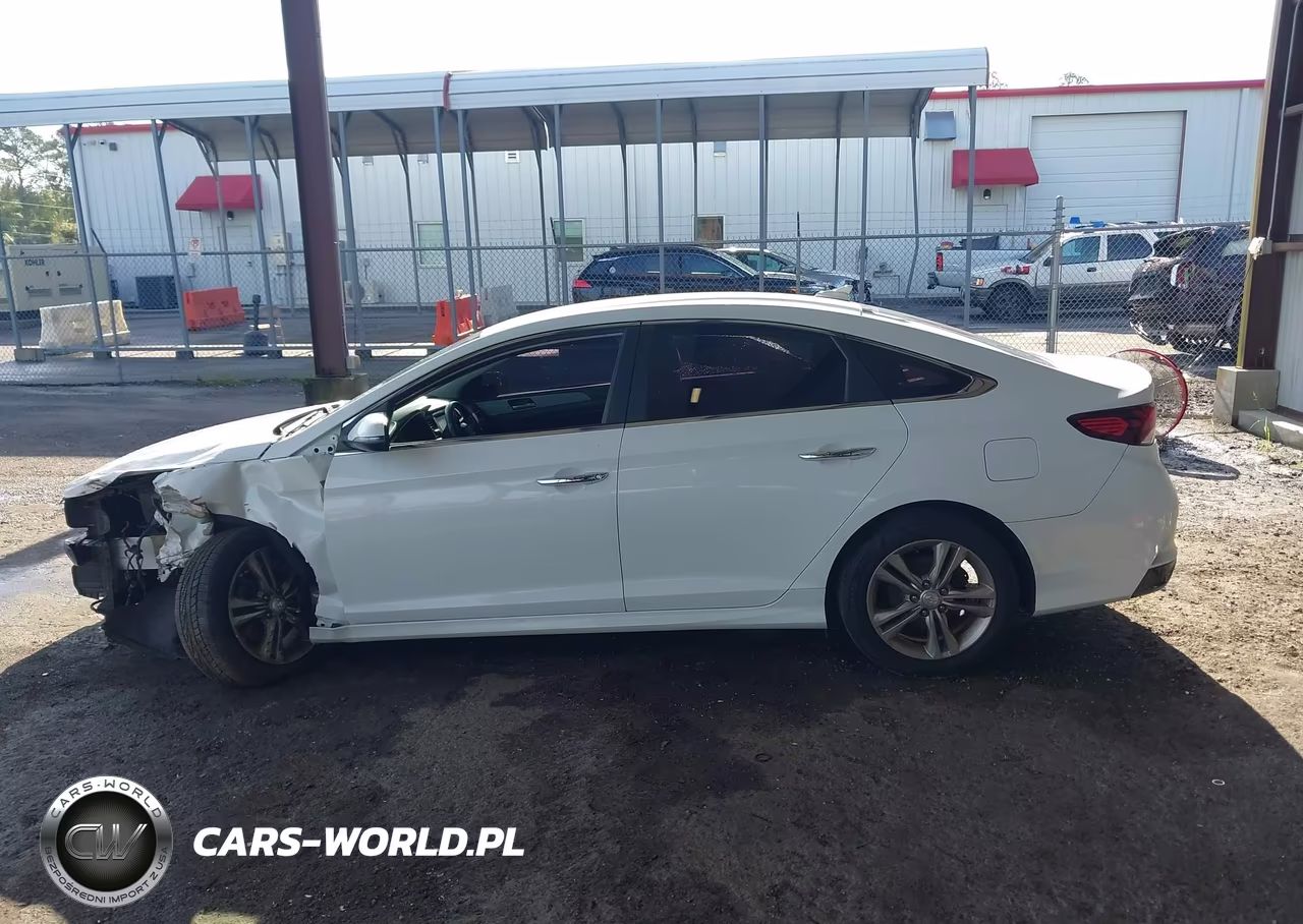 2019 Hyundai Sonata Sel VIN:5NPE34AFXKH731192 - 13