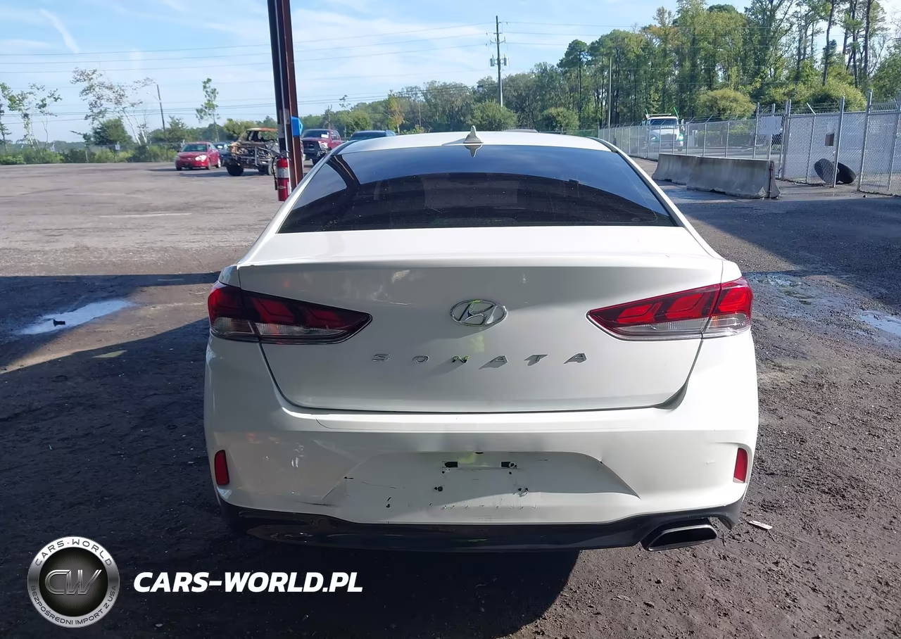 2019 Hyundai Sonata Sel VIN:5NPE34AFXKH731192 - 15