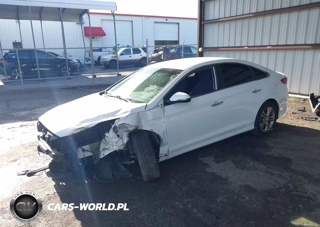 2019 Hyundai Sonata Sel VIN:5NPE34AFXKH731192 - 2