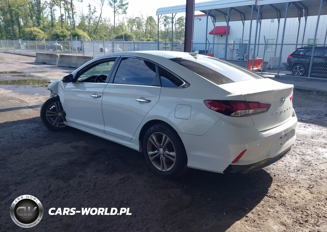 2019 Hyundai Sonata Sel VIN:5NPE34AFXKH731192 - 3