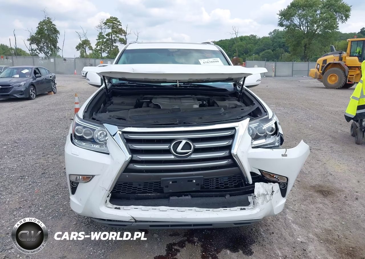 2019 Lexus Gx 460 Premium VIN:JTJBM7FX0K5223068 - 13