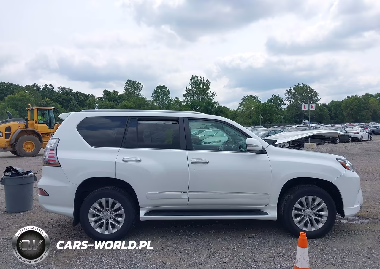 2019 Lexus Gx 460 Premium VIN:JTJBM7FX0K5223068 - 14