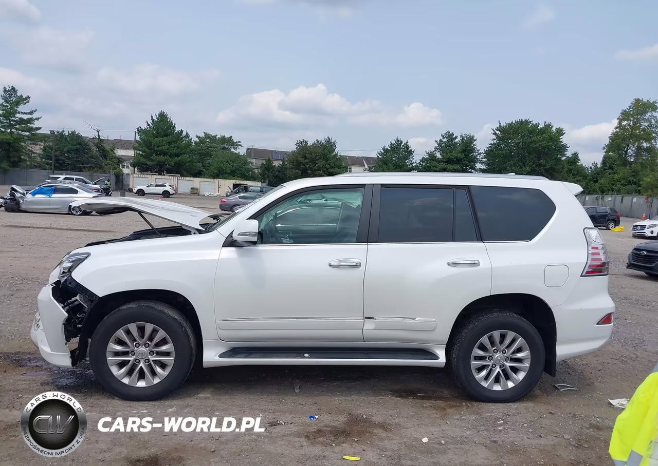 2019 Lexus Gx 460 Premium VIN:JTJBM7FX0K5223068 - 15