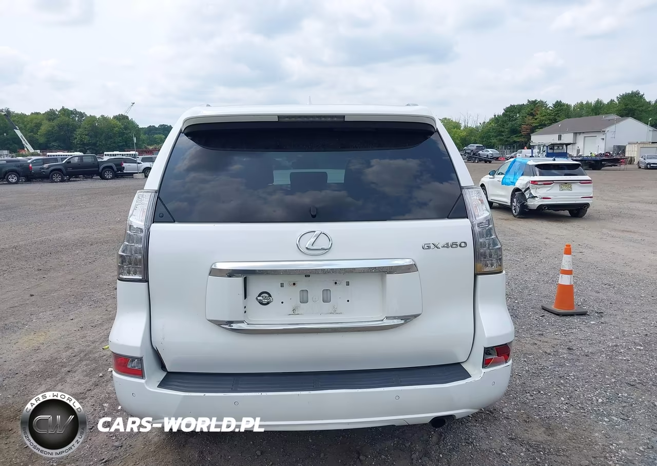 2019 Lexus Gx 460 Premium VIN:JTJBM7FX0K5223068 - 17