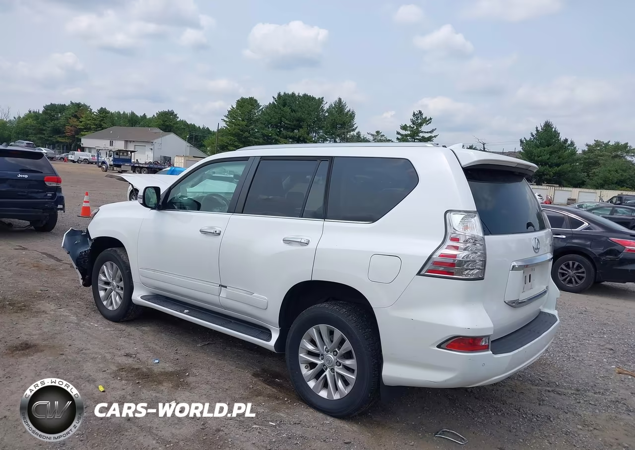2019 Lexus Gx 460 Premium VIN:JTJBM7FX0K5223068 - 3