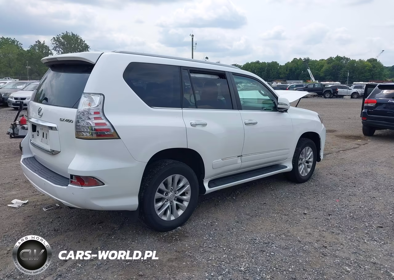 2019 Lexus Gx 460 Premium VIN:JTJBM7FX0K5223068 - 4