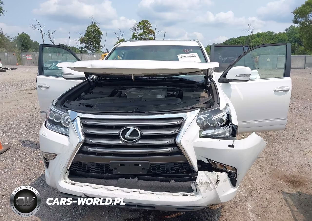 2019 Lexus Gx 460 Premium VIN:JTJBM7FX0K5223068 - 6