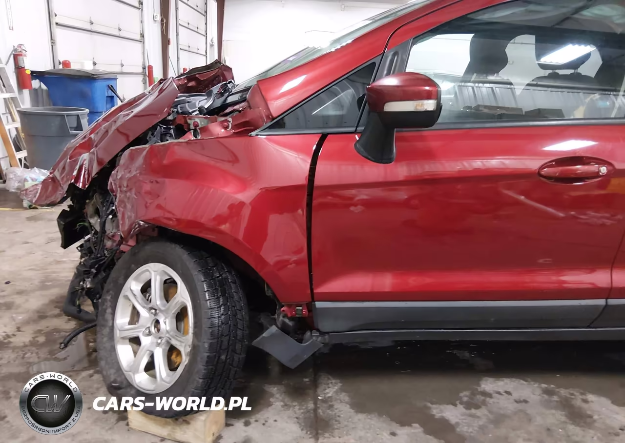 2019 Ford Ecosport Se VIN:MAJ3S2GE7KC258866 - 19