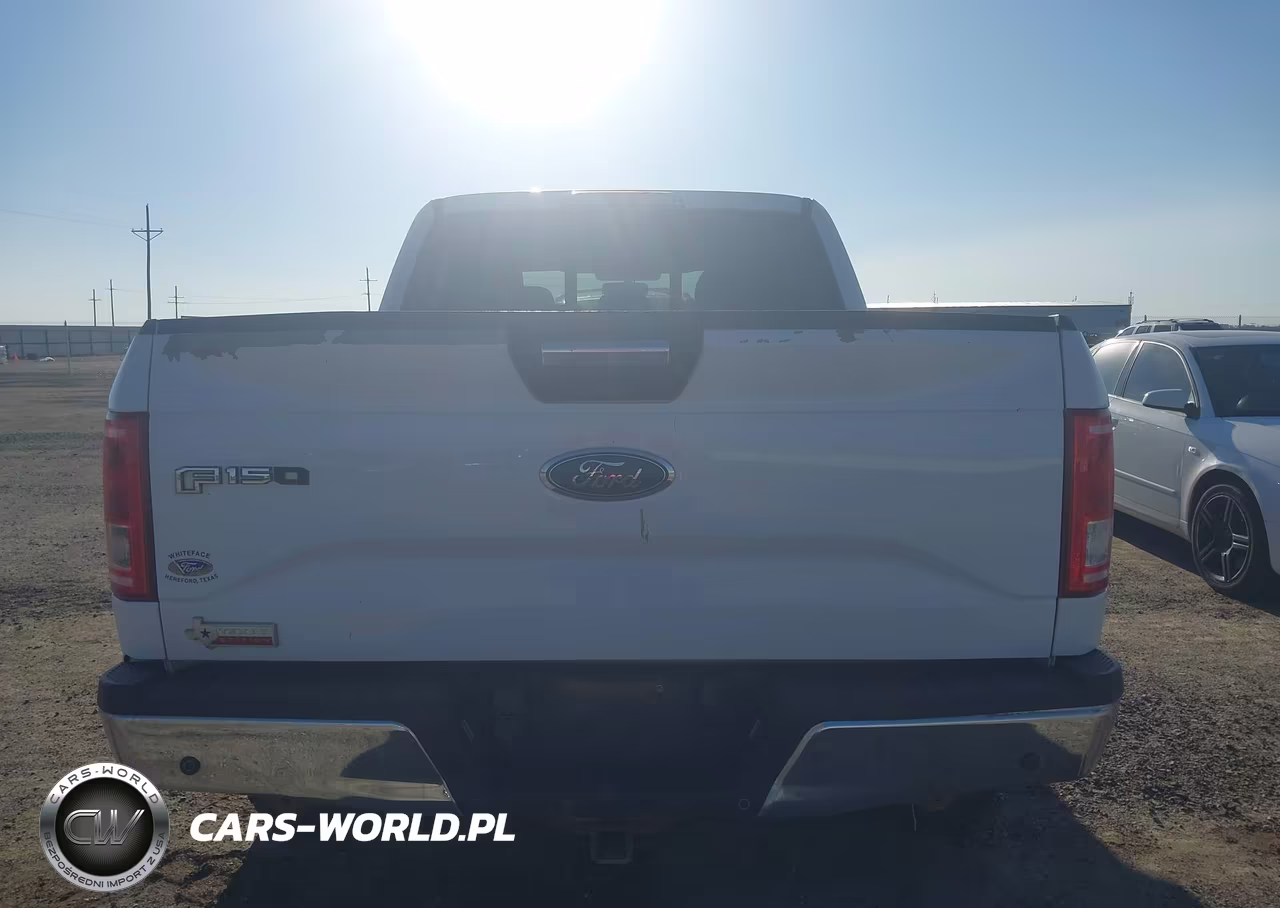 2017 Ford F-150 Xlt VIN:1FTEW1EF5HKD87829 - 16