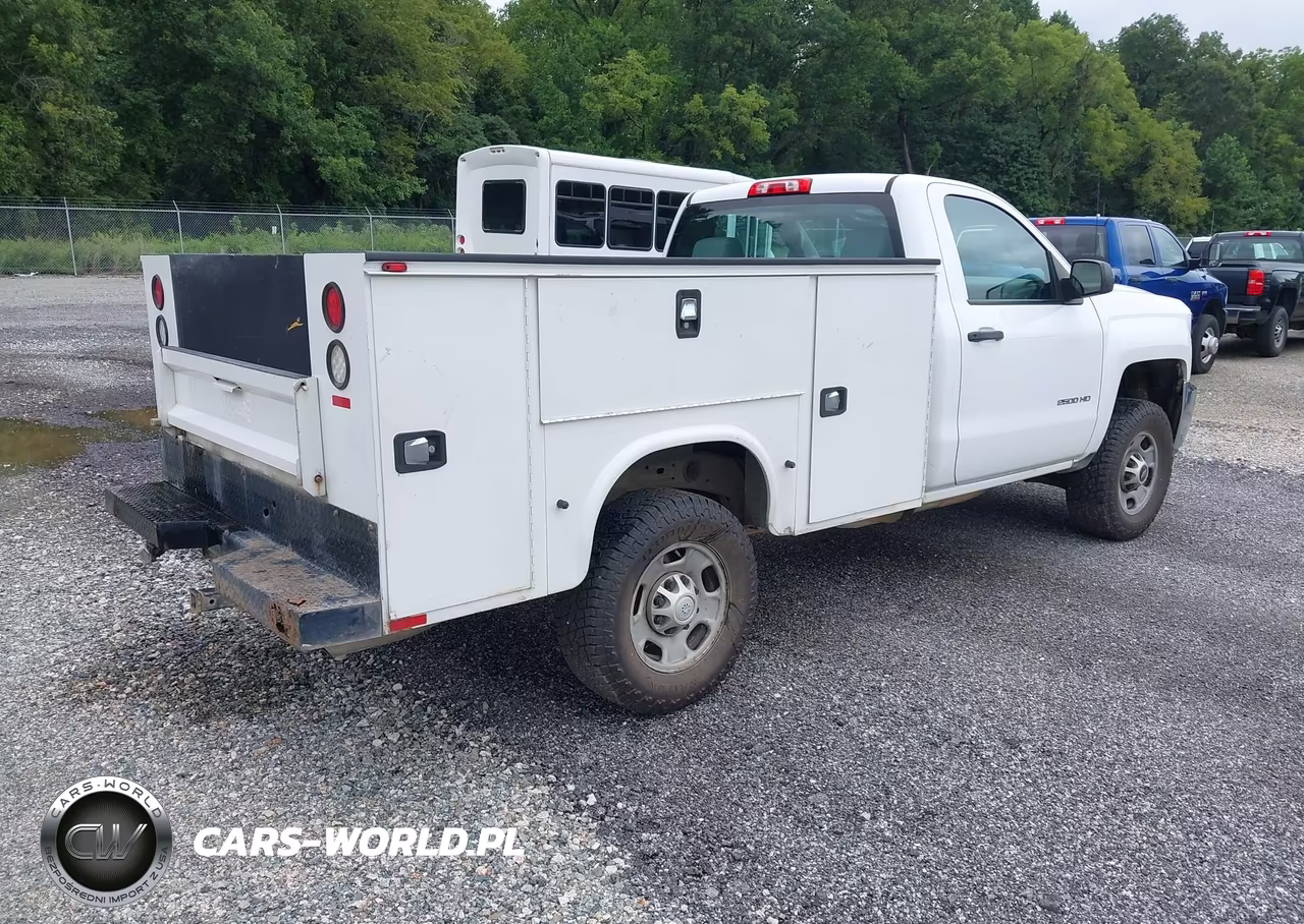 2015 Chevrolet Silverado 2500Hd Built After Aug 14 Work Truck VIN:1GB0KUEG4FZ542606 - 4