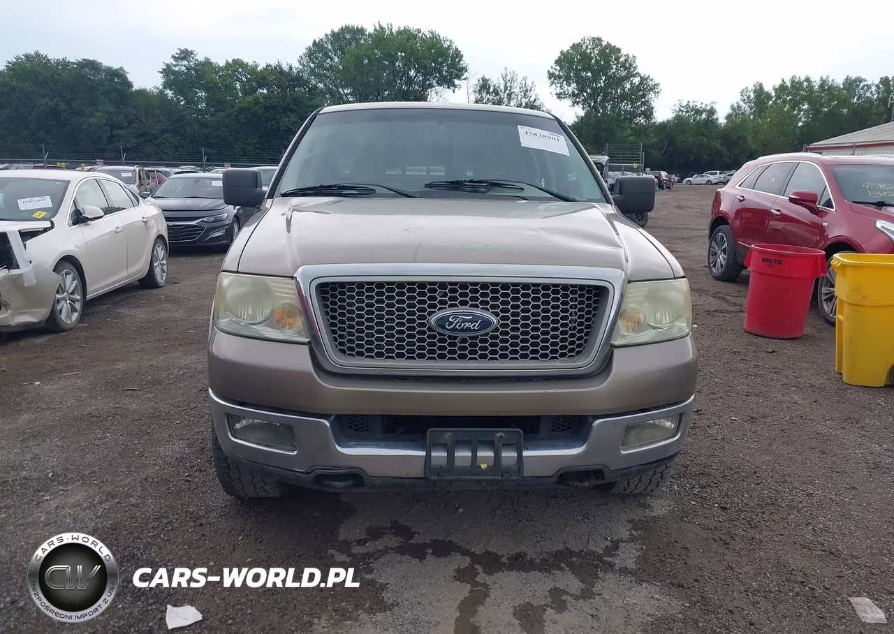 2004 Ford F-150 Fx4-Lariat-Xlt VIN:1FTPW14584KD03983 - 6