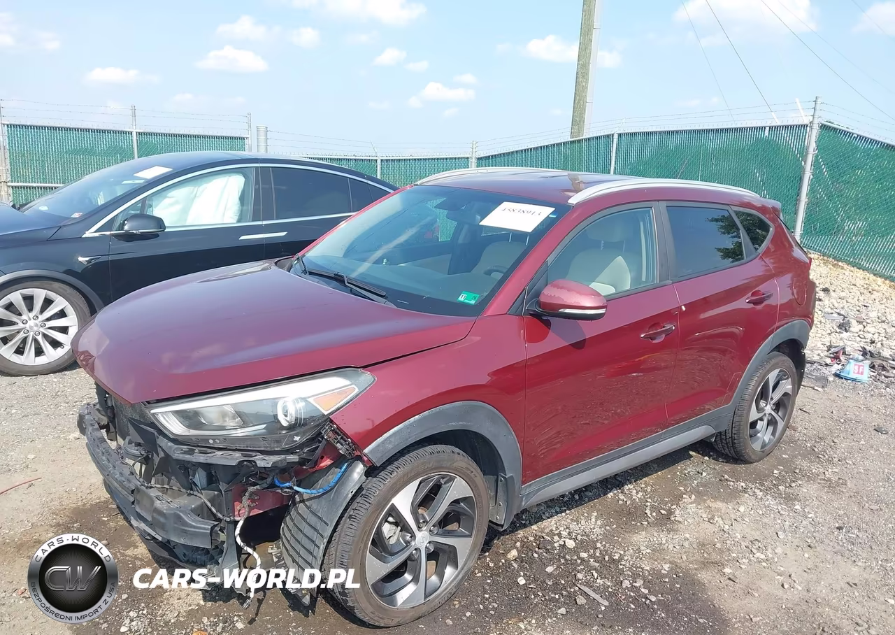 2017 Hyundai Tucson Sport VIN:KM8J3CA23HU368654 - 2