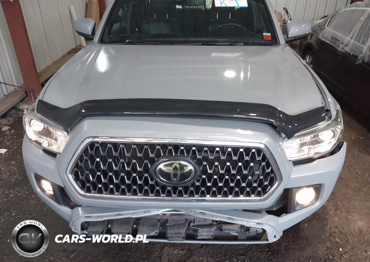 2019 Toyota Tacoma Trd Off Road VIN:3TMCZ5AN2KM208522 - 10