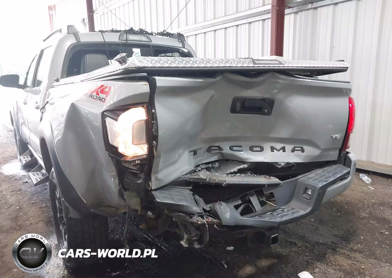 2019 Toyota Tacoma Trd Off Road VIN:3TMCZ5AN2KM208522 - 6