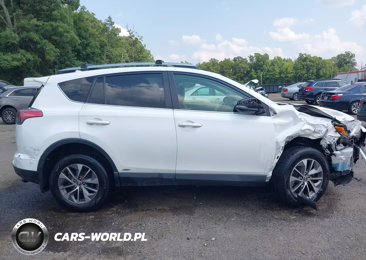 2017 Toyota Rav4 Hybrid Xle VIN:JTMRJREV6HD148252 - 13