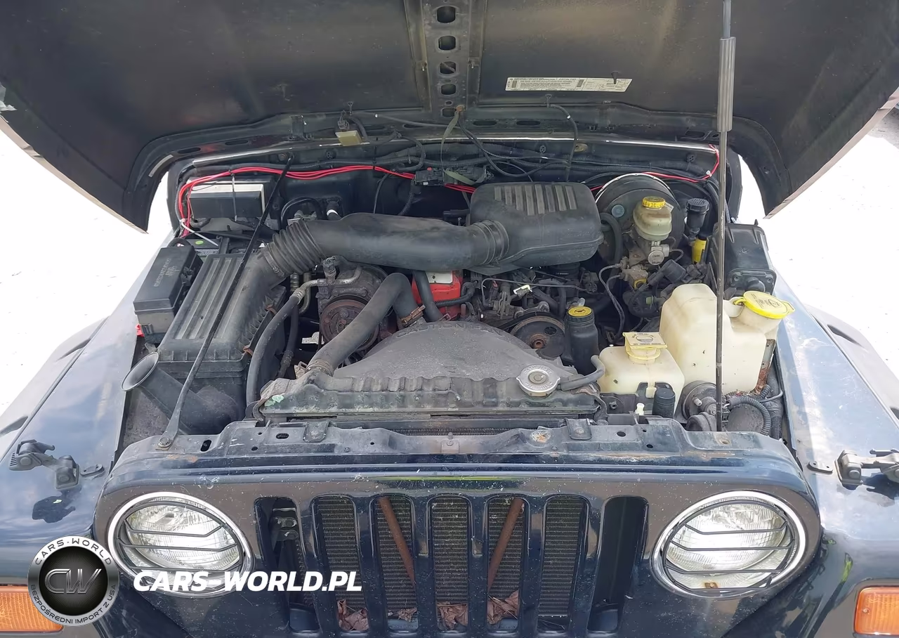 1998 Jeep Wrangler Se VIN:1J4FY29P2WP789888 - 10
