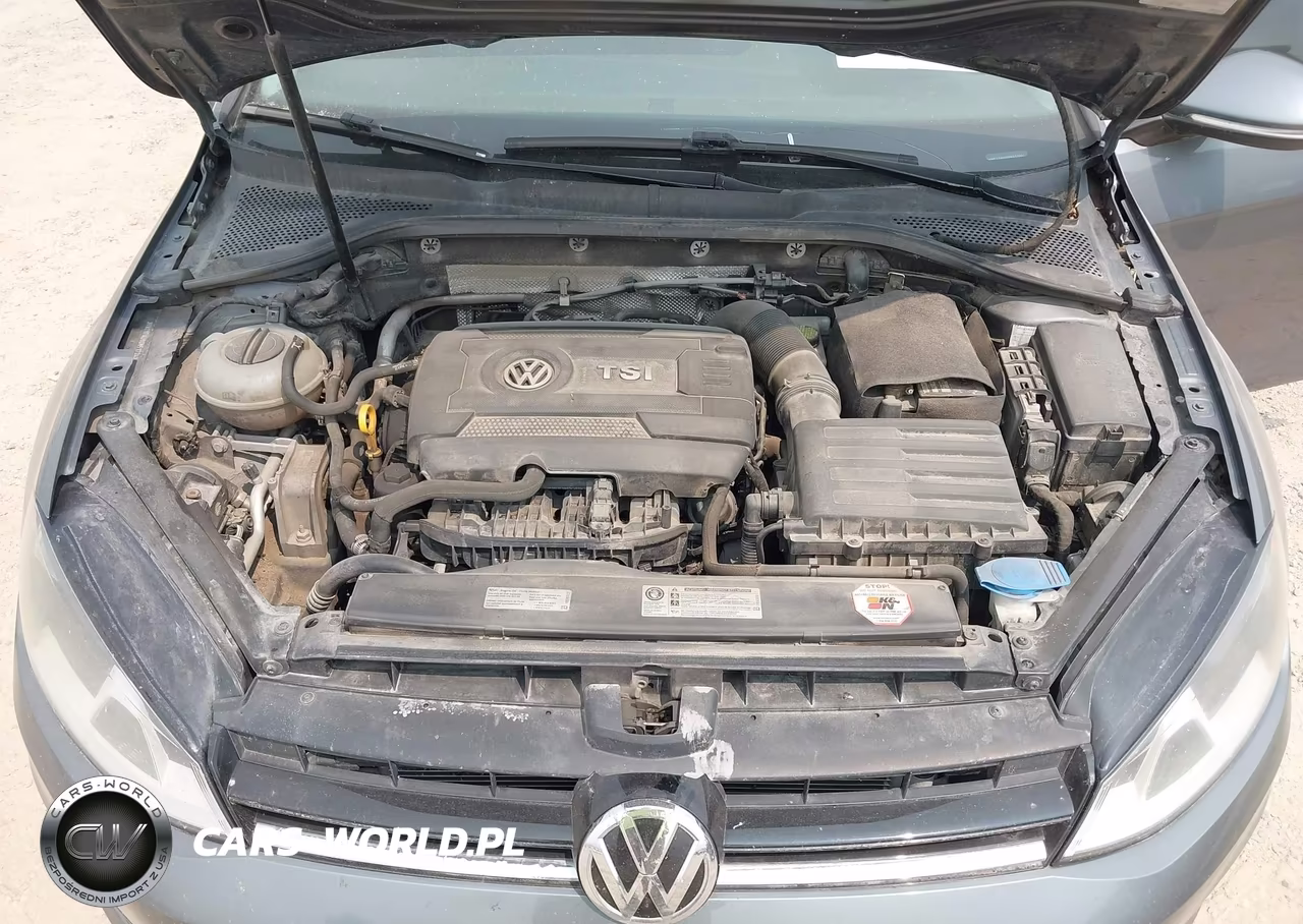 2016 Volkswagen Golf Sportwagen Tsi S 4-Door VIN:3VWC17AU9GM517242 - 10