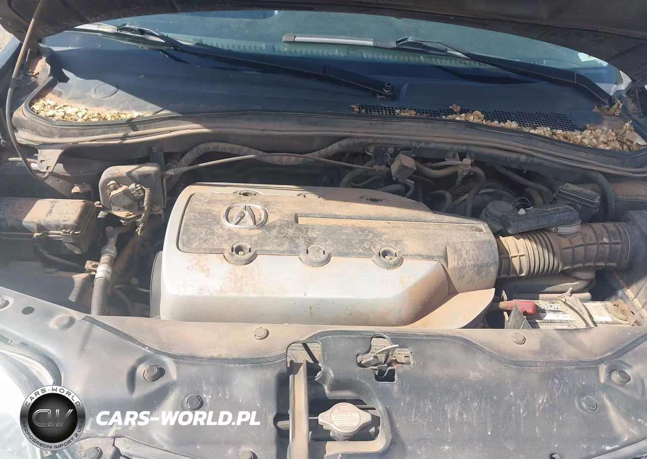 2004 Acura Mdx VIN:2HNYD186X4H558343 - 10