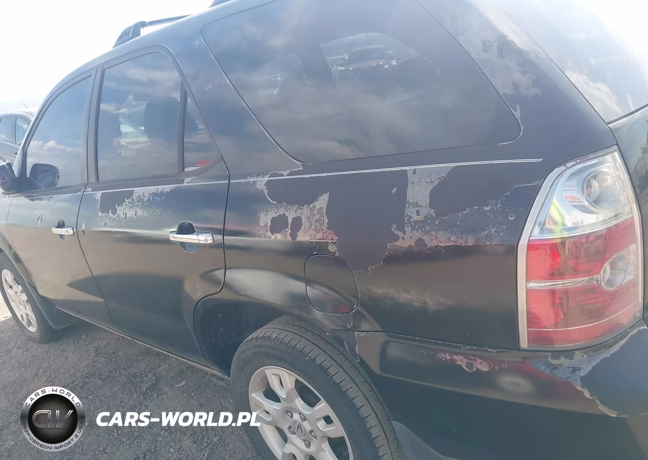 2004 Acura Mdx VIN:2HNYD186X4H558343 - 6