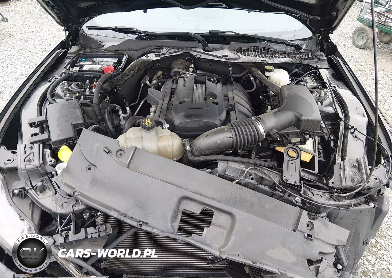 2016 Ford Mustang Ecoboost Premium VIN:1FATP8UHXG5221695 - 10