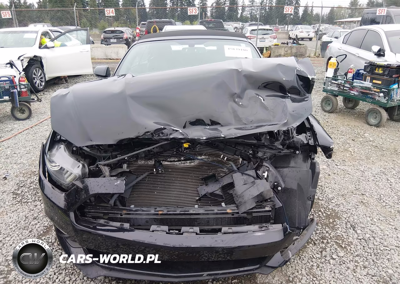 2016 Ford Mustang Ecoboost Premium VIN:1FATP8UHXG5221695 - 13