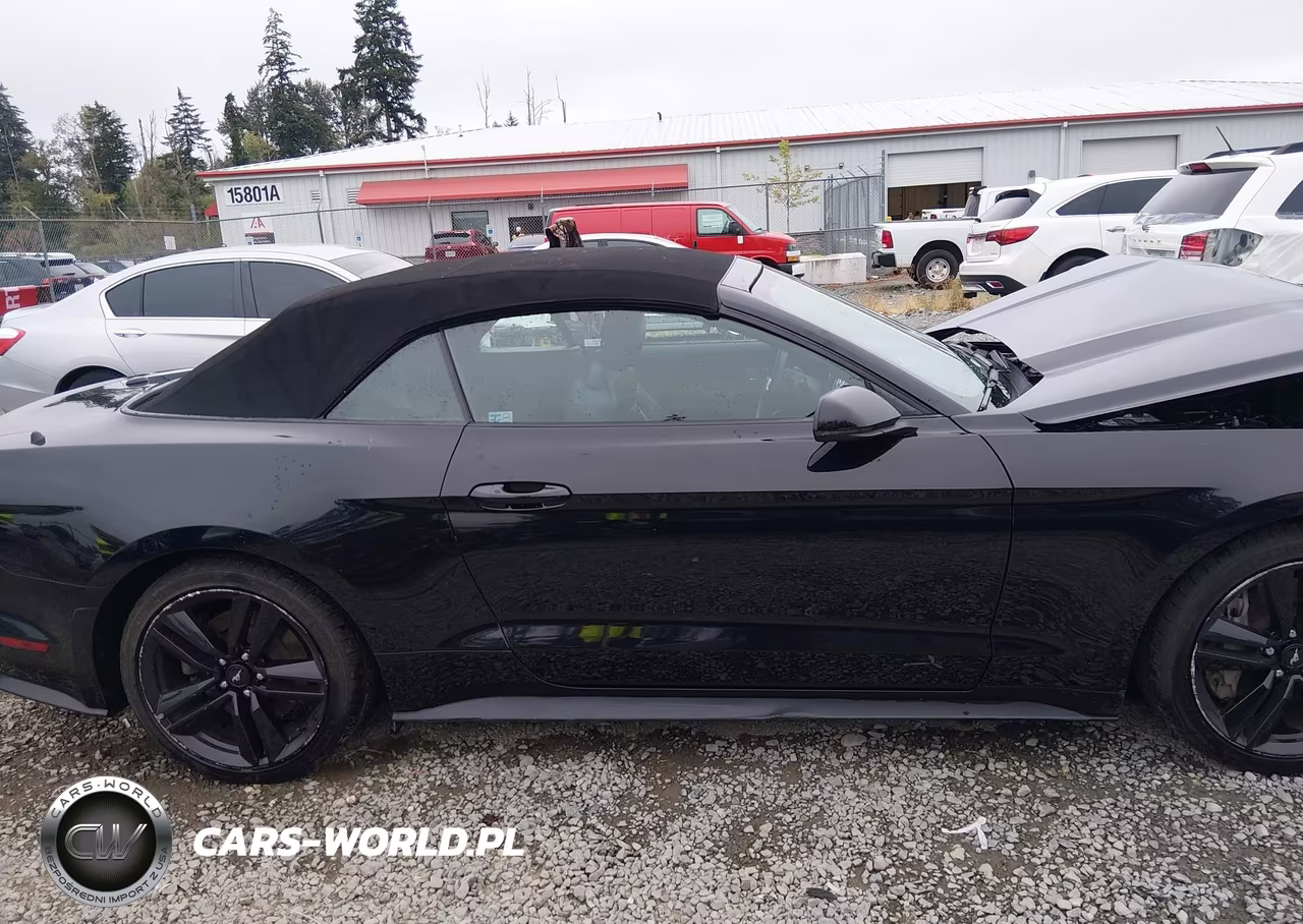 2016 Ford Mustang Ecoboost Premium VIN:1FATP8UHXG5221695 - 14