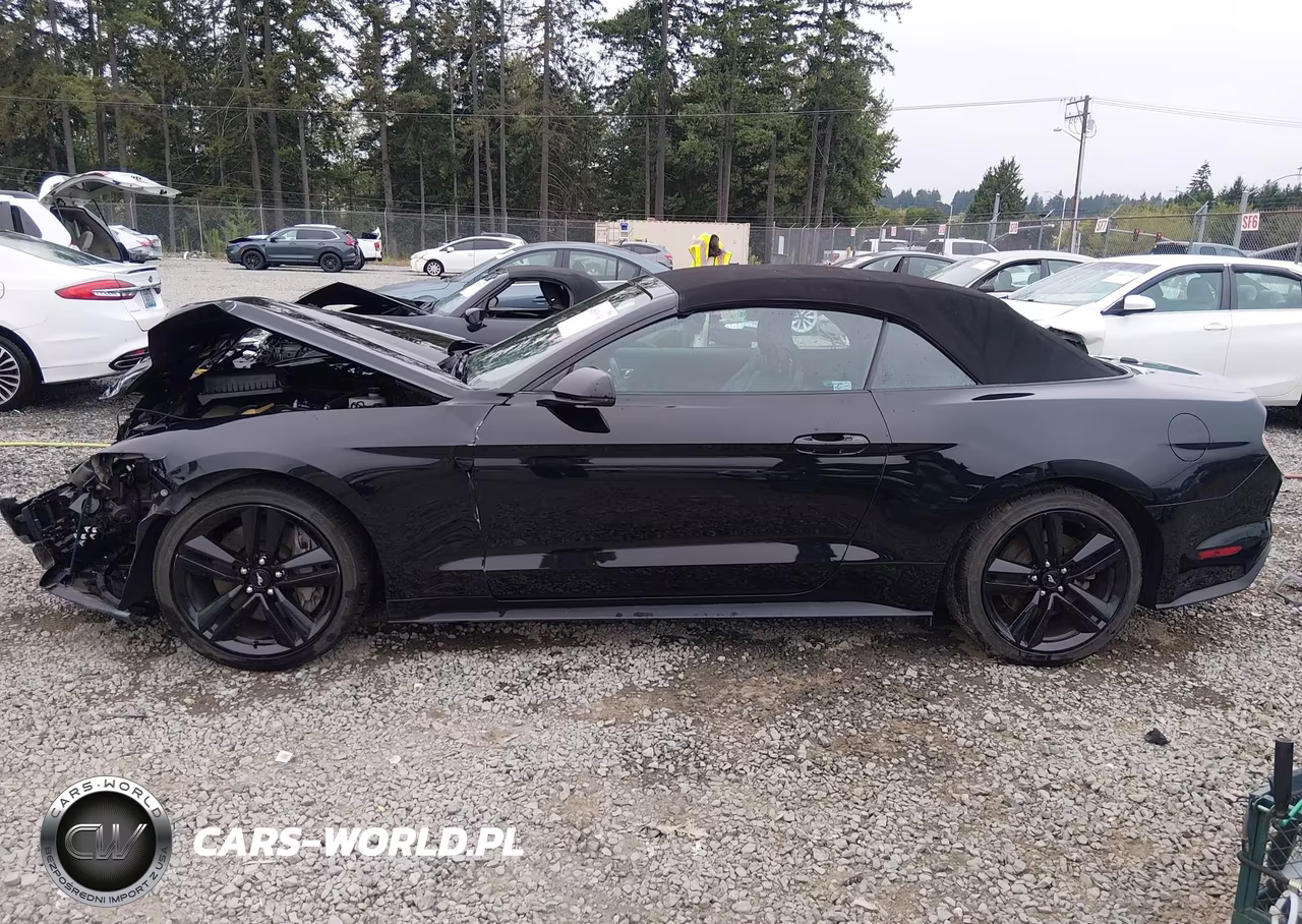 2016 Ford Mustang Ecoboost Premium VIN:1FATP8UHXG5221695 - 15