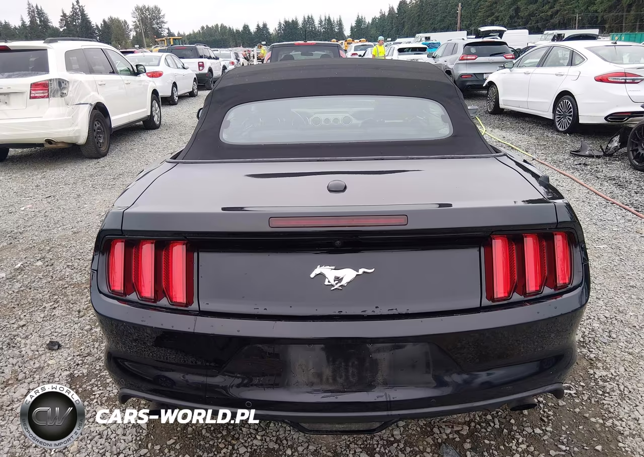 2016 Ford Mustang Ecoboost Premium VIN:1FATP8UHXG5221695 - 17