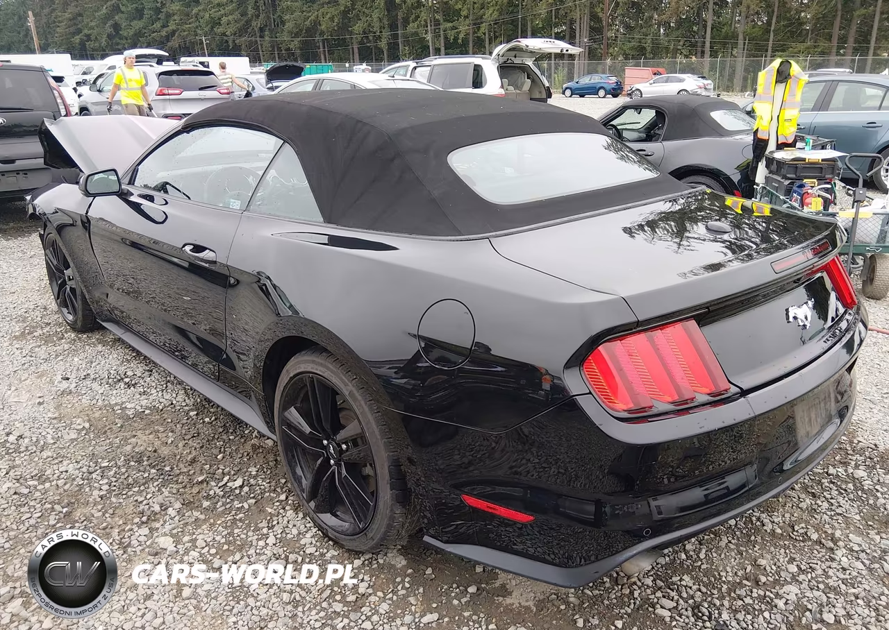 2016 Ford Mustang Ecoboost Premium VIN:1FATP8UHXG5221695 - 3