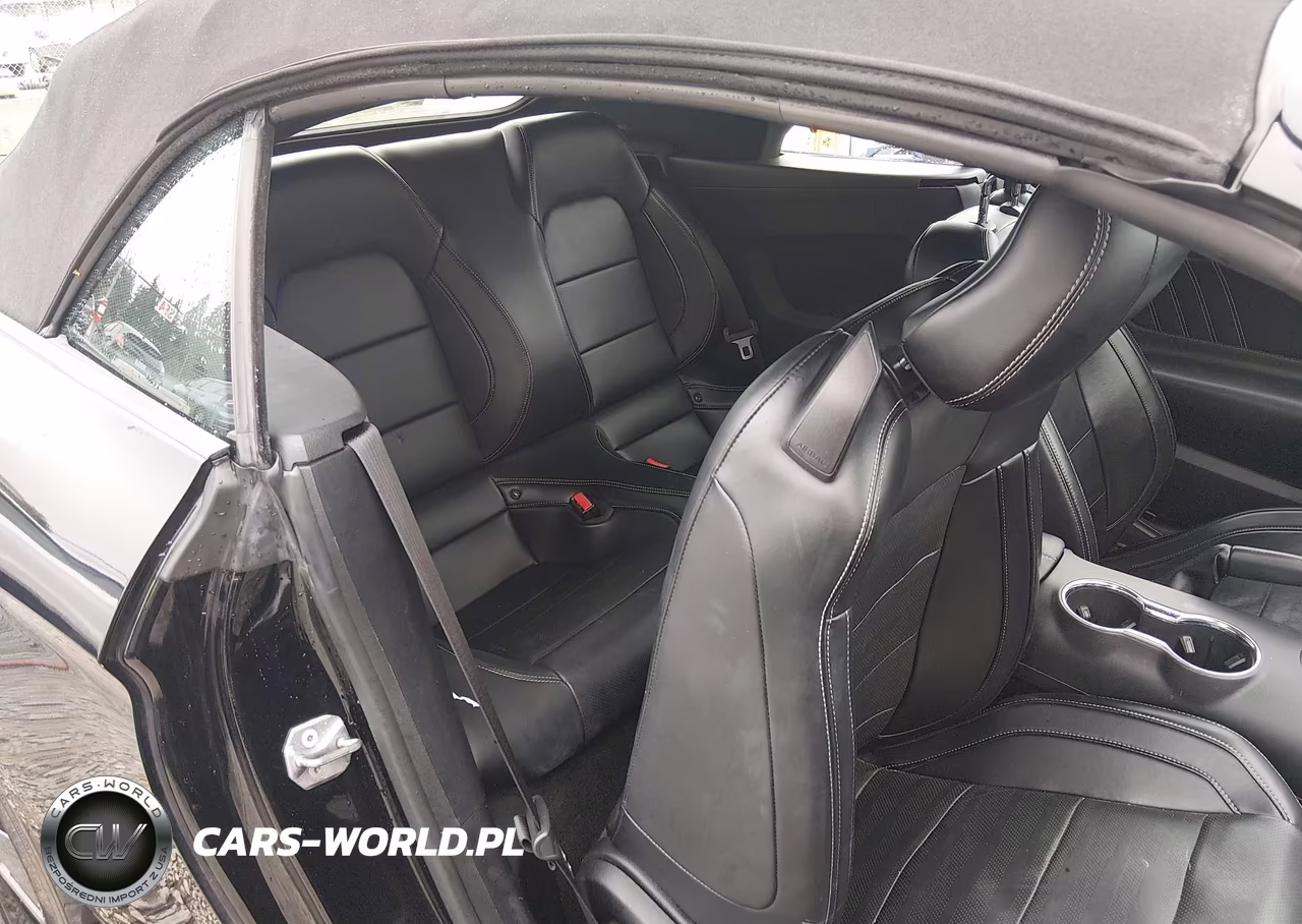 2016 Ford Mustang Ecoboost Premium VIN:1FATP8UHXG5221695 - 8