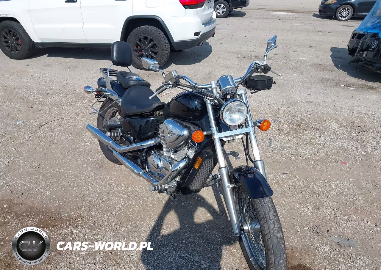 2002 Honda Vt600 Cd